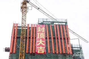 匠心筑梦 荣耀封顶——宏晟学林世家建设工程圆满封顶